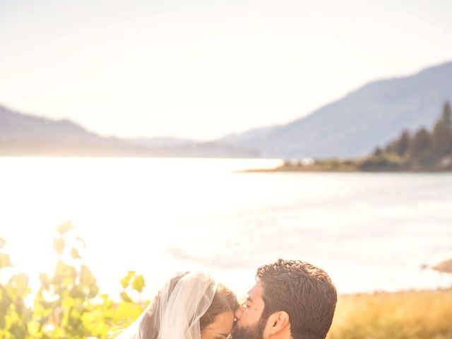 Samantha and Robert&apos;s Wedding in Big Bear Lake, California 5