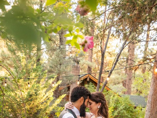 Samantha and Robert&apos;s Wedding in Big Bear Lake, California 8