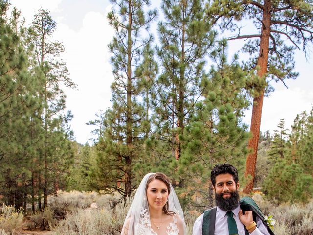 Samantha and Robert&apos;s Wedding in Big Bear Lake, California 20
