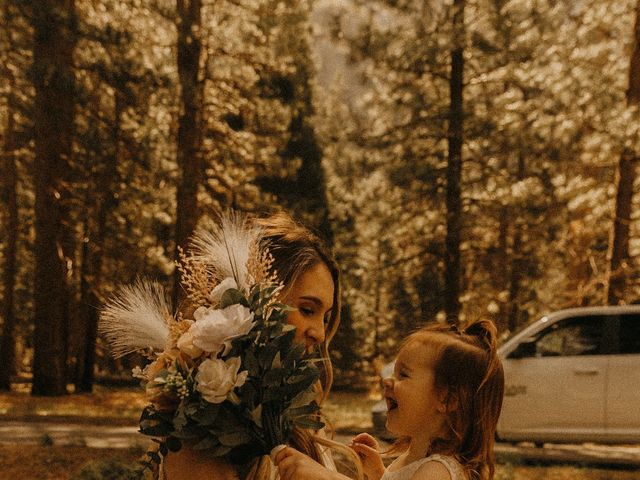 Luke and Emily&apos;s Wedding in Yosemite National Park, California 98