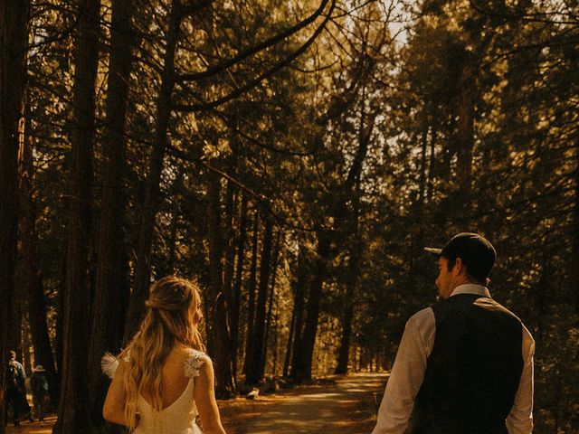 Luke and Emily&apos;s Wedding in Yosemite National Park, California 311