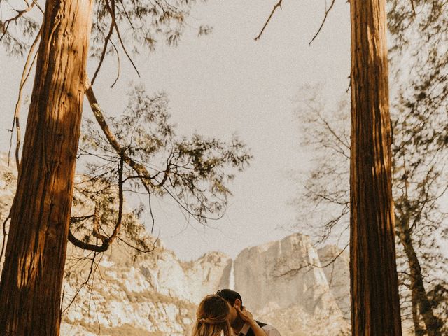 Luke and Emily&apos;s Wedding in Yosemite National Park, California 363