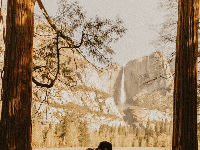 Luke and Emily&apos;s Wedding in Yosemite National Park, California 365
