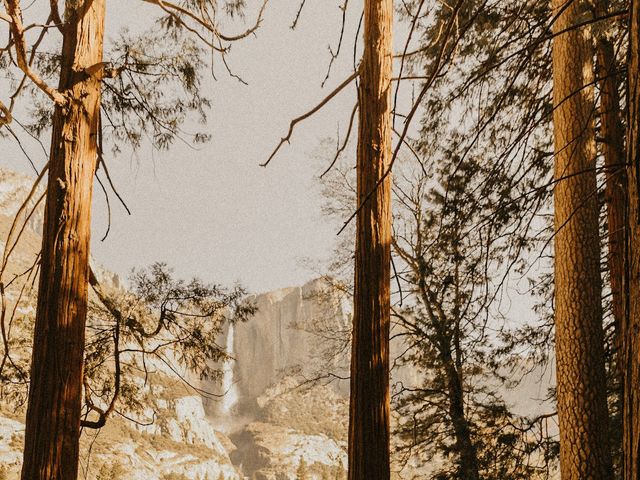 Luke and Emily&apos;s Wedding in Yosemite National Park, California 367