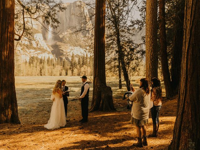 Luke and Emily&apos;s Wedding in Yosemite National Park, California 3