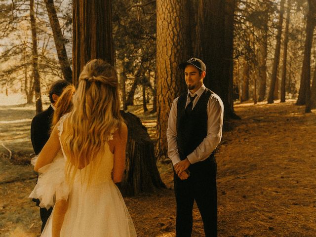 Luke and Emily&apos;s Wedding in Yosemite National Park, California 381