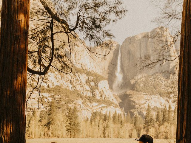 Luke and Emily&apos;s Wedding in Yosemite National Park, California 389