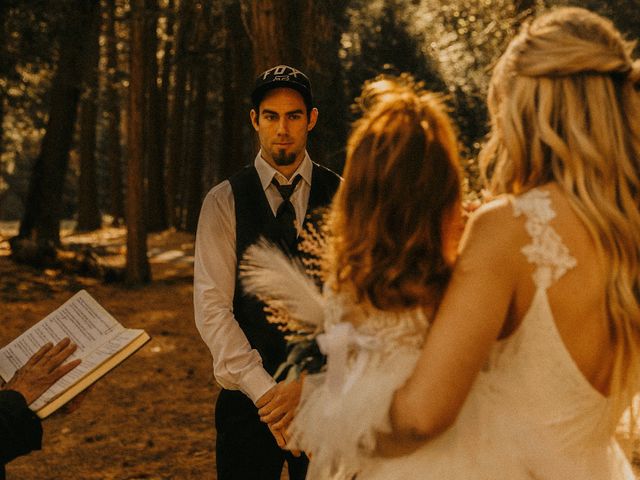 Luke and Emily&apos;s Wedding in Yosemite National Park, California 391