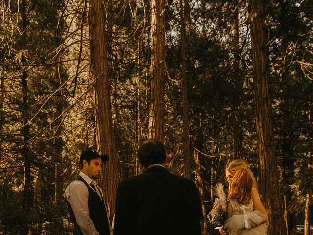 Luke and Emily&apos;s Wedding in Yosemite National Park, California 394