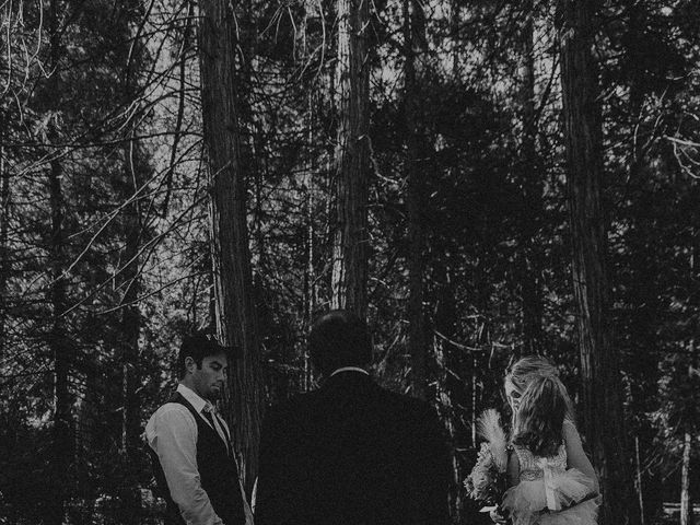 Luke and Emily&apos;s Wedding in Yosemite National Park, California 395