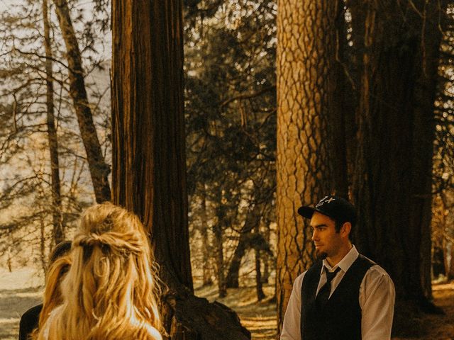 Luke and Emily&apos;s Wedding in Yosemite National Park, California 402