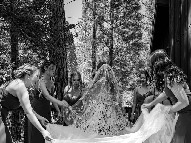 Cody and Gwyn&apos;s Wedding in Yosemite National Park, California 6