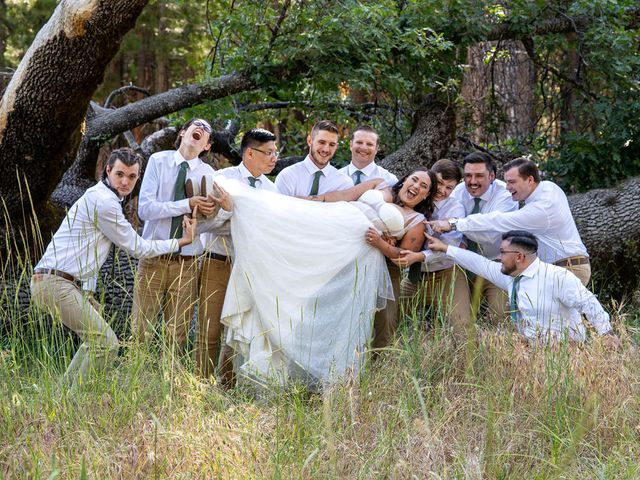 Cody and Gwyn&apos;s Wedding in Yosemite National Park, California 10