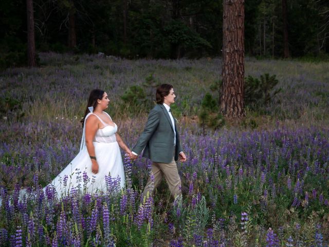 Cody and Gwyn&apos;s Wedding in Yosemite National Park, California 20
