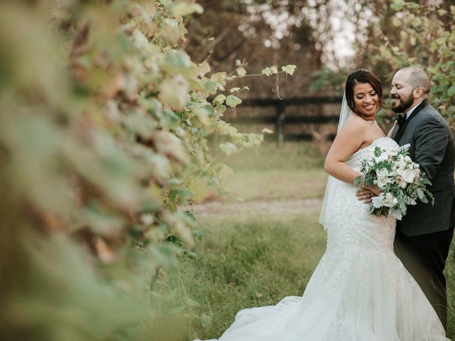 Miguel and Silvia&apos;s Wedding in Delaplane, Virginia 5