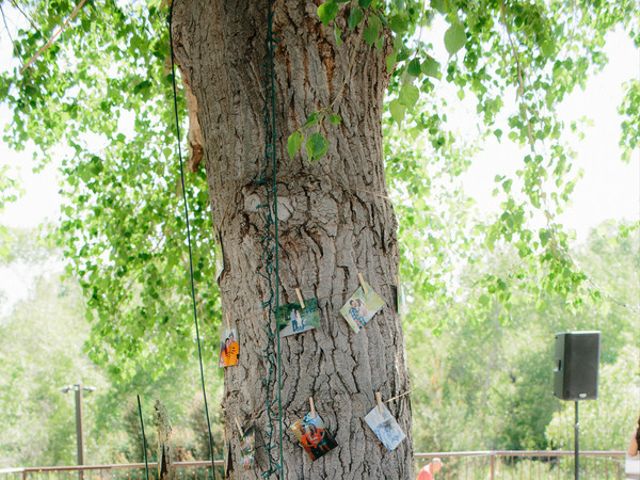 Nadine and Andrew&apos;s Wedding in Littleton, Colorado 14