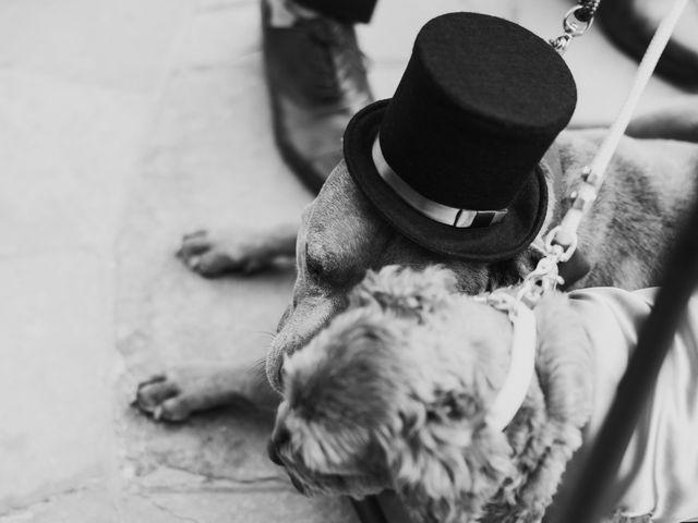 Grant and Molly's Wedding in Berkeley, California 37