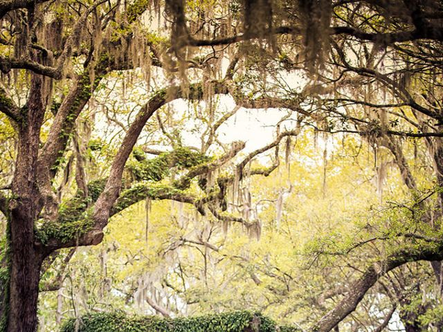 Tamika and Juan&apos;s Wedding in Charleston, South Carolina 3