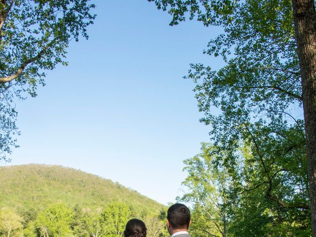Derek and Hannah&apos;s Wedding in Black Mountain, North Carolina 9