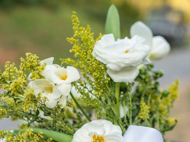 Derek and Hannah&apos;s Wedding in Black Mountain, North Carolina 16