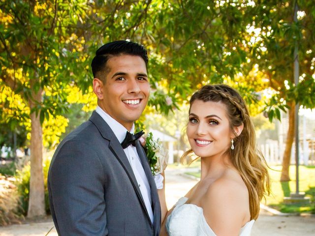 Brittany and Vince&apos;s Wedding in Chino, California 5