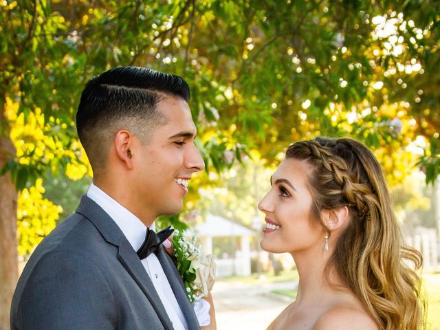 Brittany and Vince&apos;s Wedding in Chino, California 6