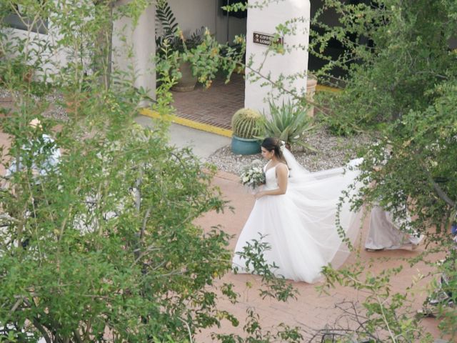 Colin and Elisa&apos;s Wedding in Tucson, Arizona 18