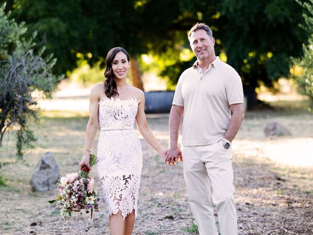 Marc and Bri&apos;s Wedding in Calistoga, California 5