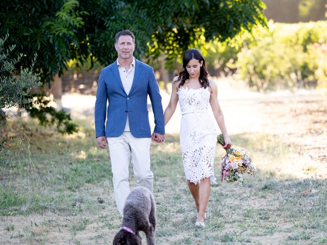 Marc and Bri&apos;s Wedding in Calistoga, California 62