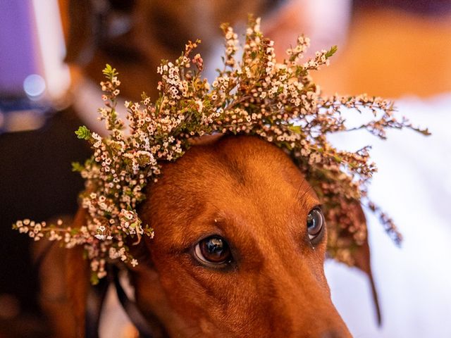 Nick and Erin's Wedding in Dundee, Oregon 8