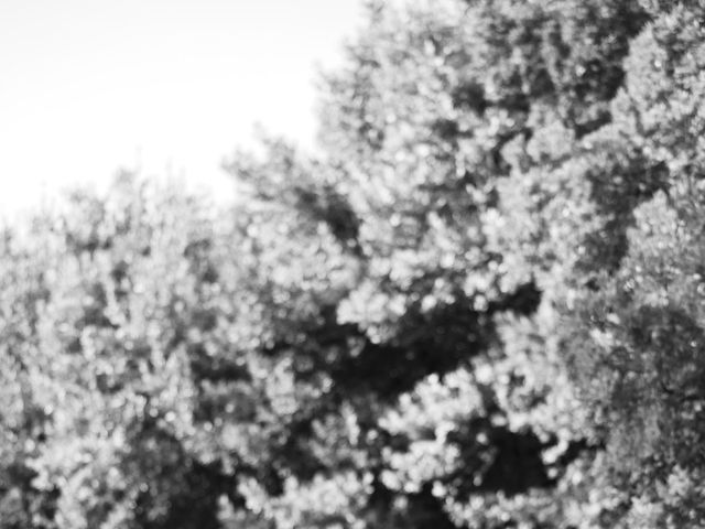 giorgia and tiziano's Wedding in Rome, Italy 16