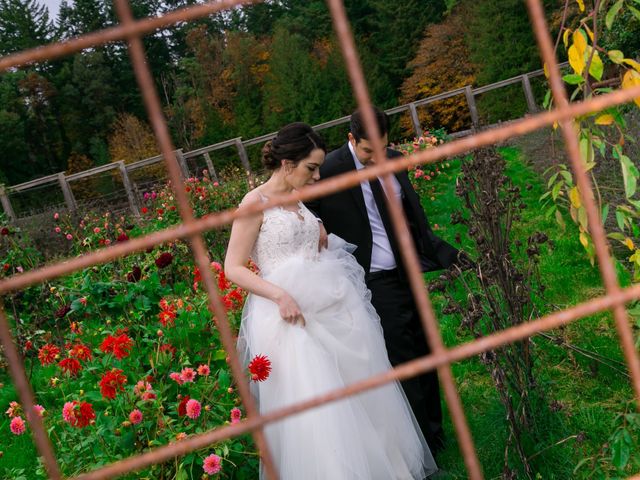 Frank and Alivia&apos;s Wedding in Bainbridge Island, Washington 49