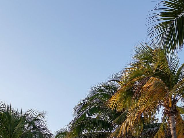 Lalo and Cristina's Wedding in Playa del Carmen, Mexico 27