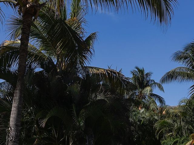Lalo and Cristina's Wedding in Playa del Carmen, Mexico 53