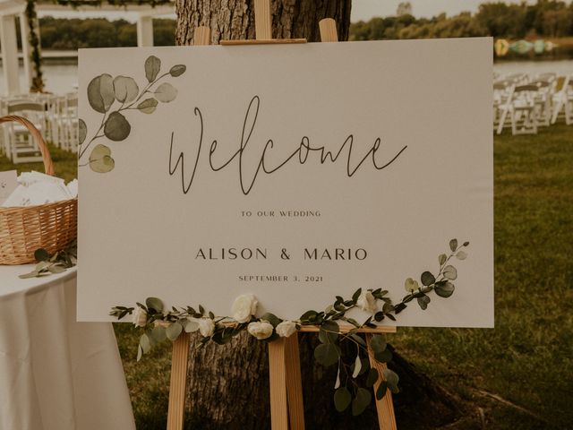 Alison and Mario&apos;s Wedding in Howell, Michigan 24