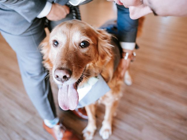 David and Brittani's Wedding in Georgetown, Texas 6