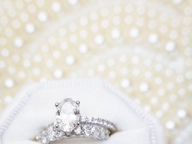 Mark and Brittany&apos;s Wedding in Plymouth, Michigan 10