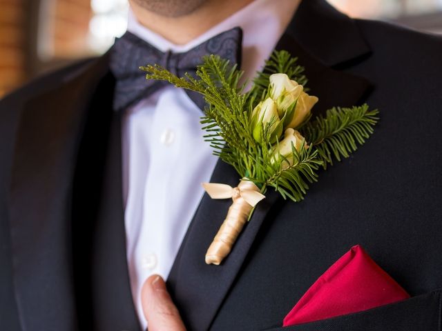 Mark and Brittany&apos;s Wedding in Plymouth, Michigan 34