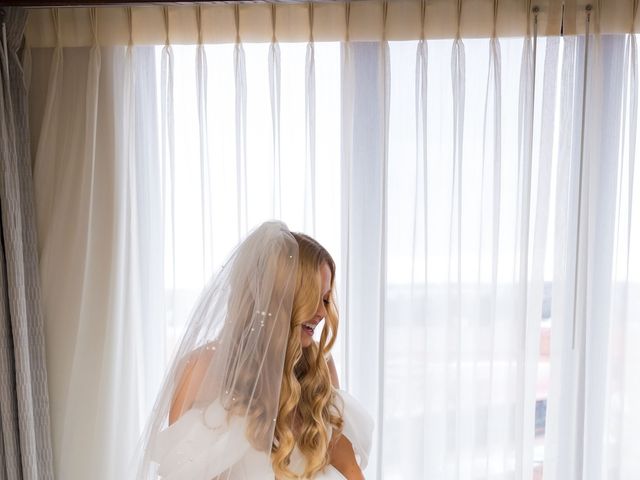 Mark and Brittany&apos;s Wedding in Plymouth, Michigan 35