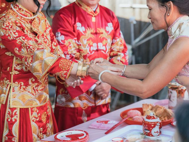 Andrew and Cindy&apos;s Wedding in Sacramento, California 5