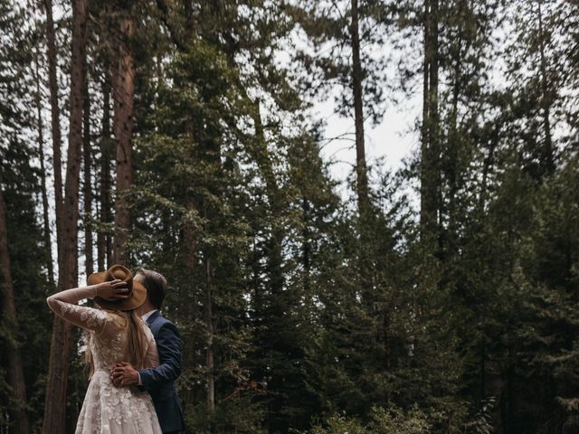 Cat and Eric&apos;s Wedding in Yosemite National Park, California 38