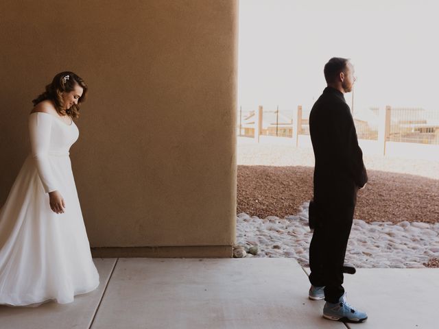 Ryan and Vanessa&apos;s Wedding in Phoenix, Arizona 7