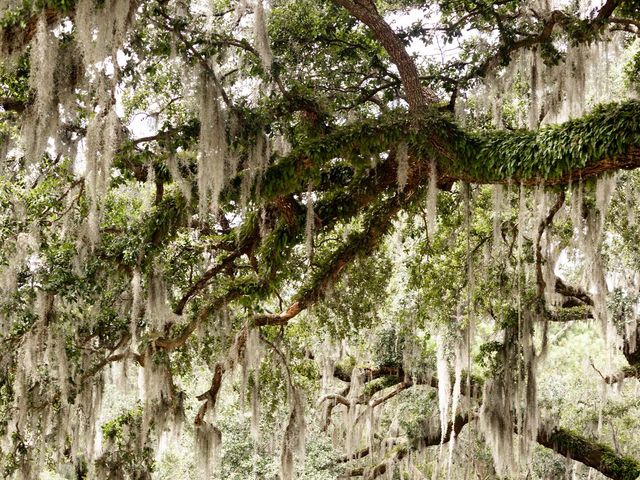 Silas and Summer&apos;s Wedding in Johns Island, South Carolina 54