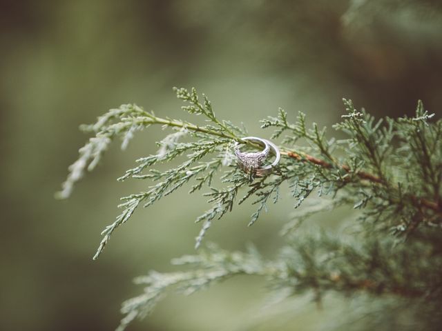 Truman and Kirsten&apos;s Wedding in Silverton, Oregon 3