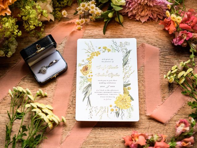 Stephen and Emily&apos;s Wedding in Berryville, Virginia 5