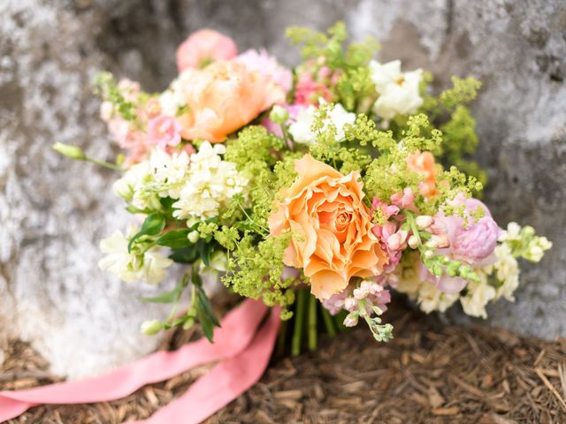 Stephen and Emily&apos;s Wedding in Berryville, Virginia 7