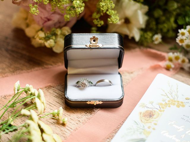 Stephen and Emily&apos;s Wedding in Berryville, Virginia 15