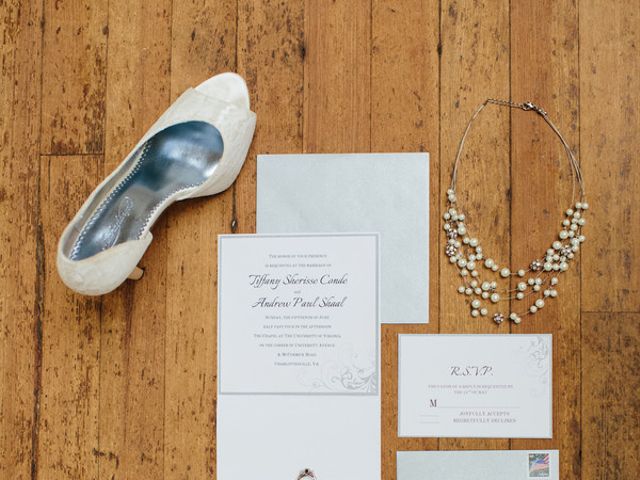 Tiffany and Andrew's Wedding in Charlottesville, Virginia 2