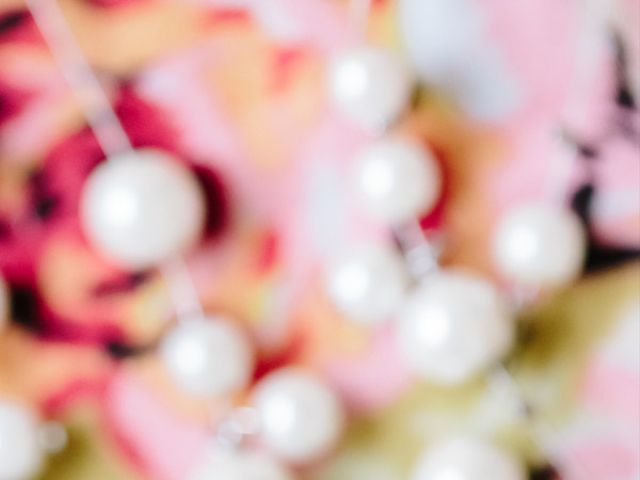 Tiffany and Andrew's Wedding in Charlottesville, Virginia 1