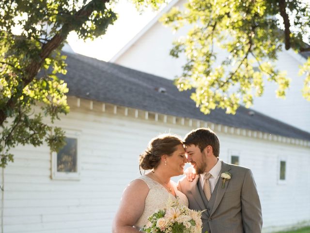 Ian and Katie&apos;s Wedding in Wheaton, Illinois 3